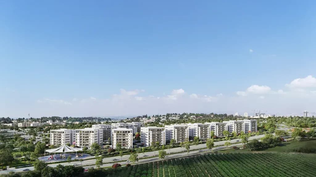 בן דוד נכסים בע"מ
